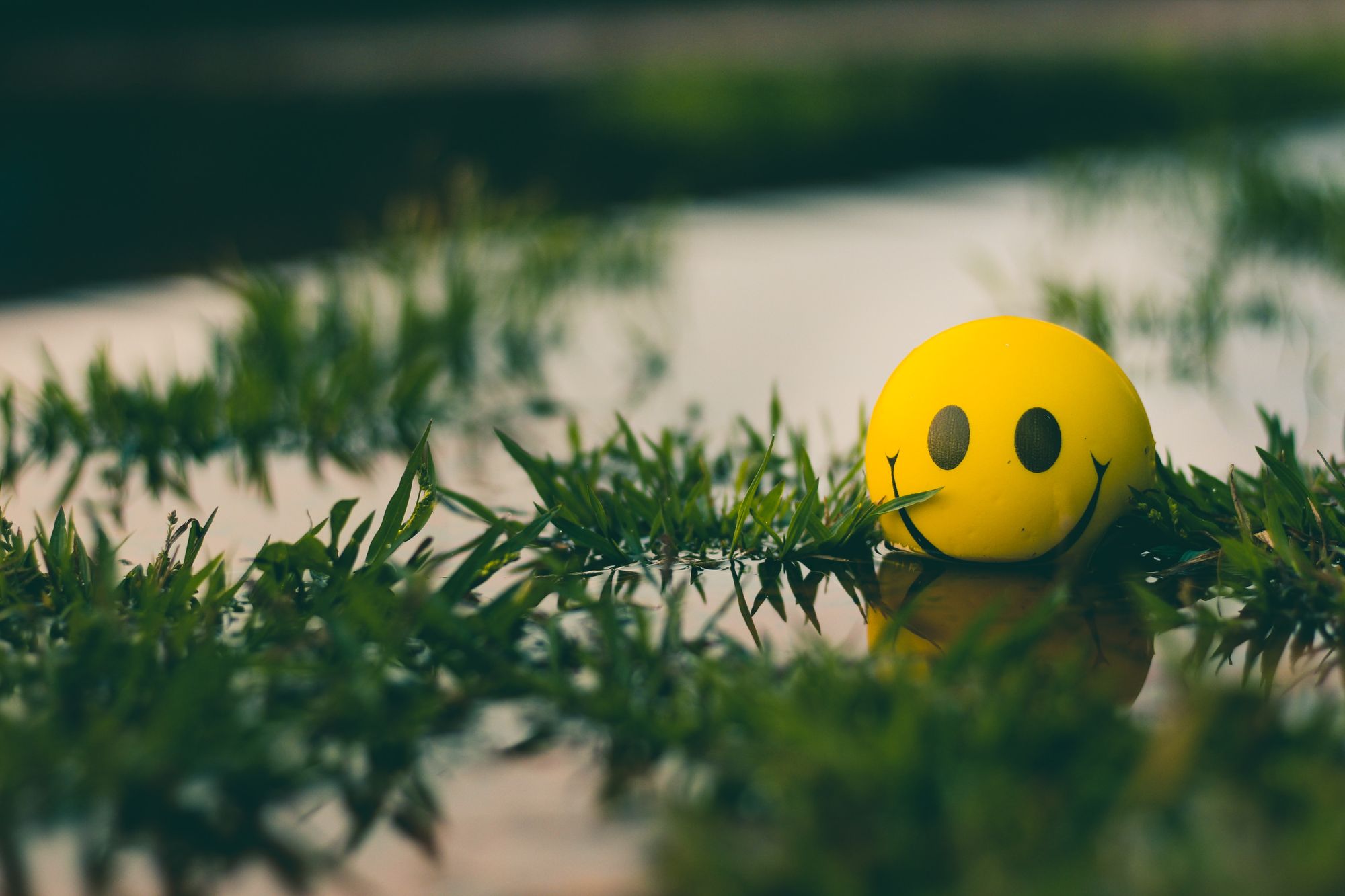 A case for flexibility and optimism