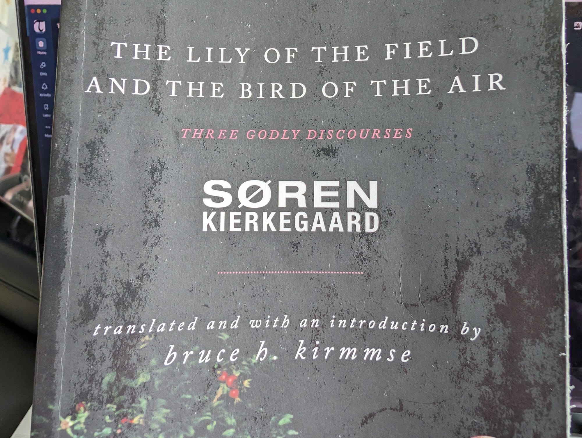 7 Key Takeaways: The Lily of the Field and The Bird of the Air