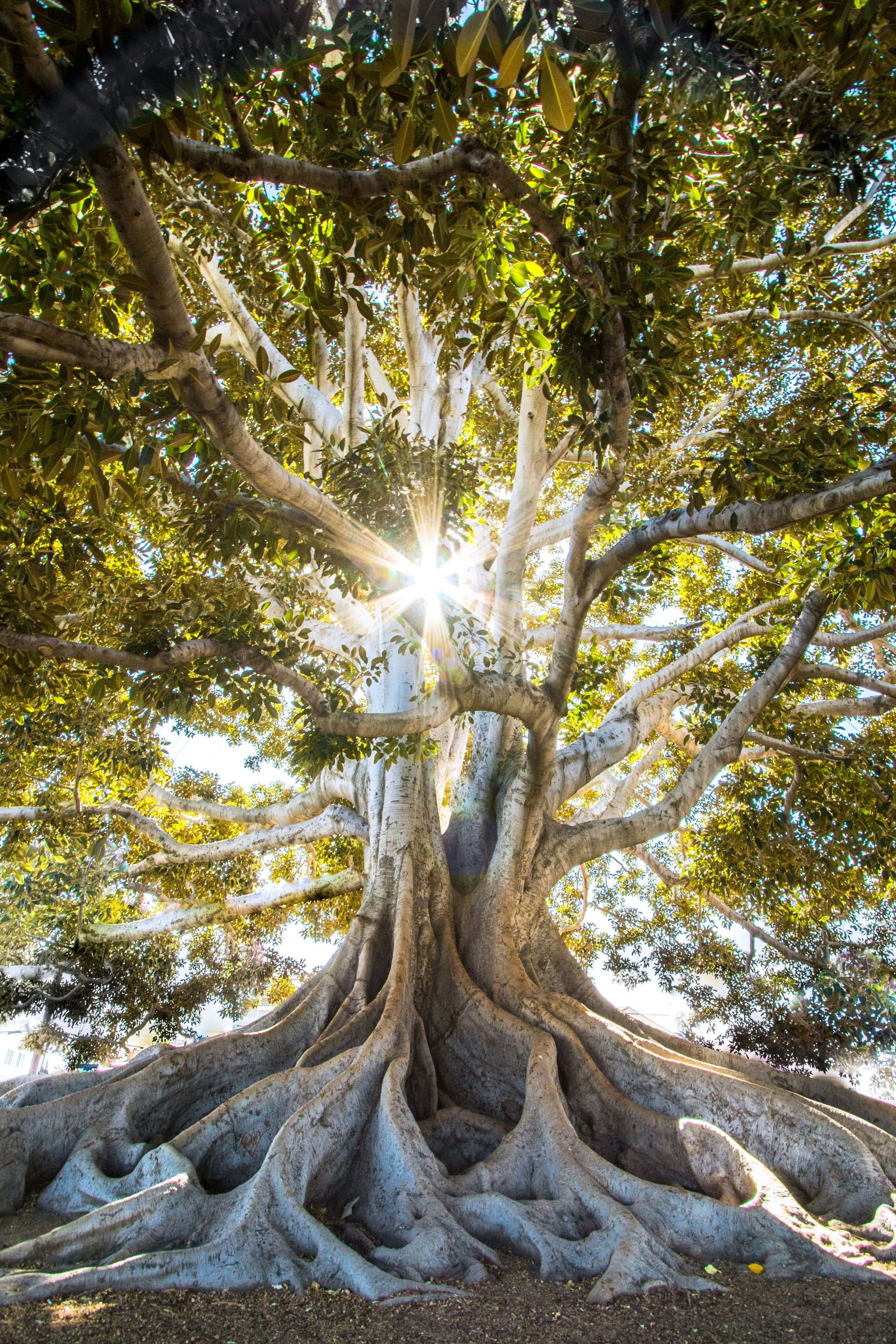 What is a meaningful life?